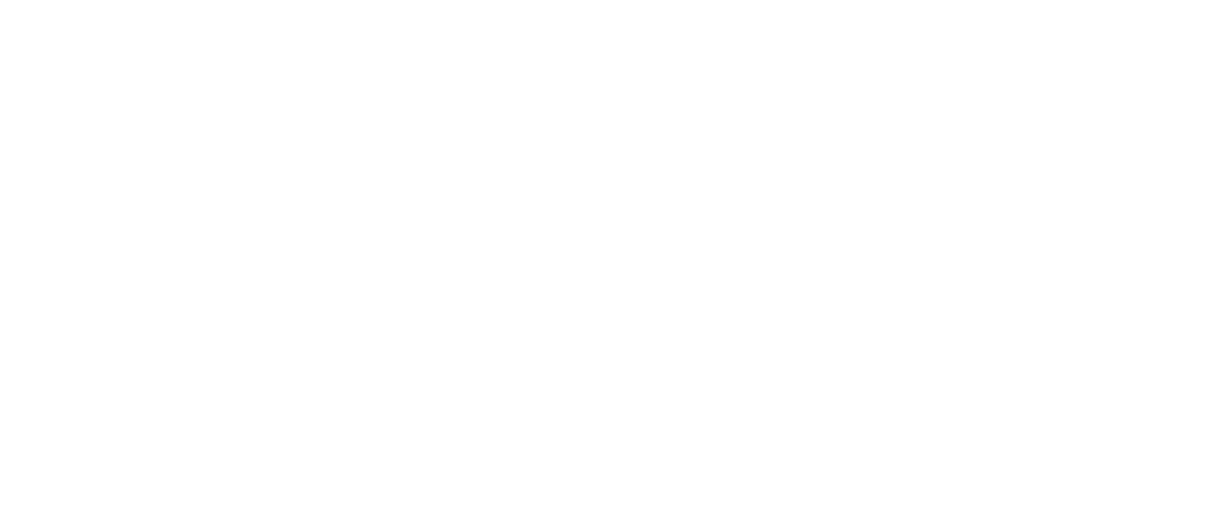 NGITS